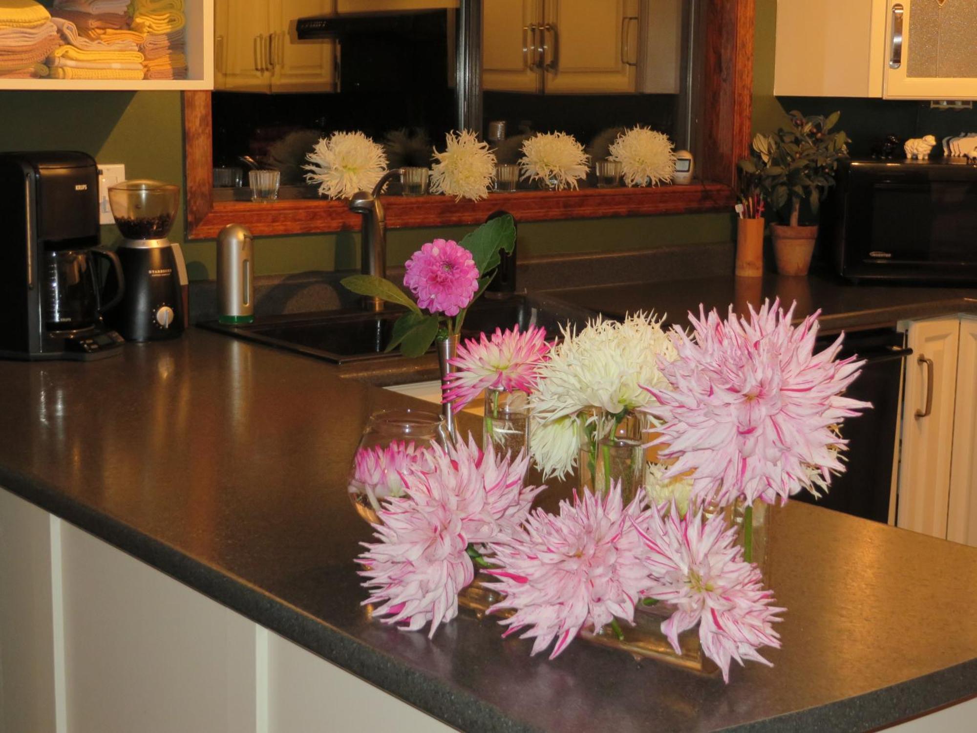 Misty Meadows B&B Langford Esterno foto