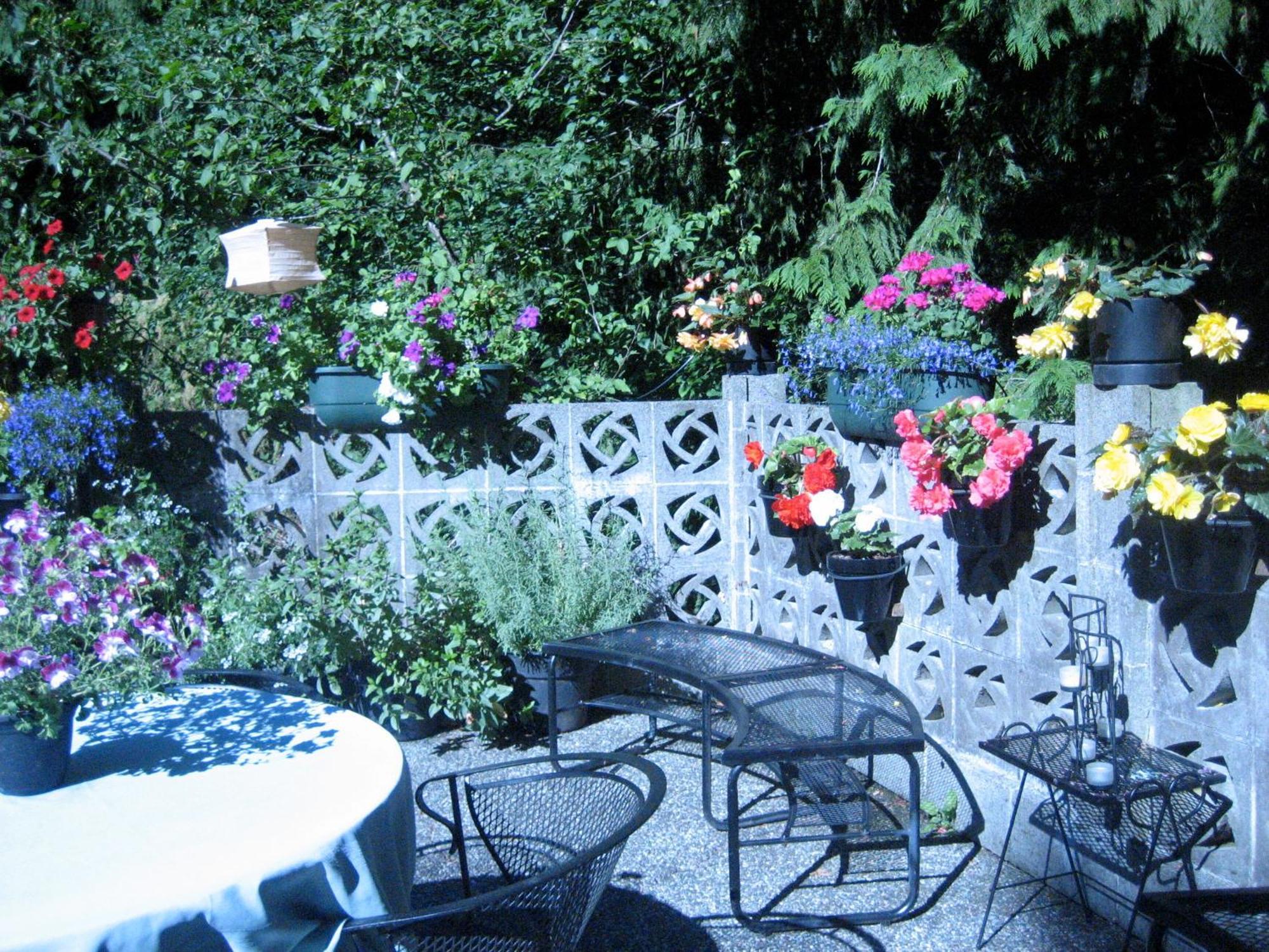 Misty Meadows B&B Langford Esterno foto