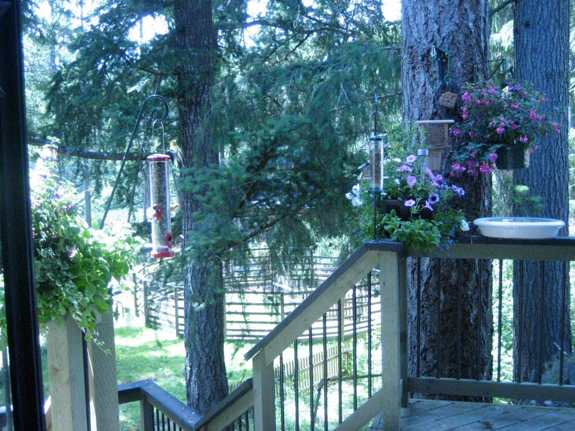 Misty Meadows B&B Langford Esterno foto