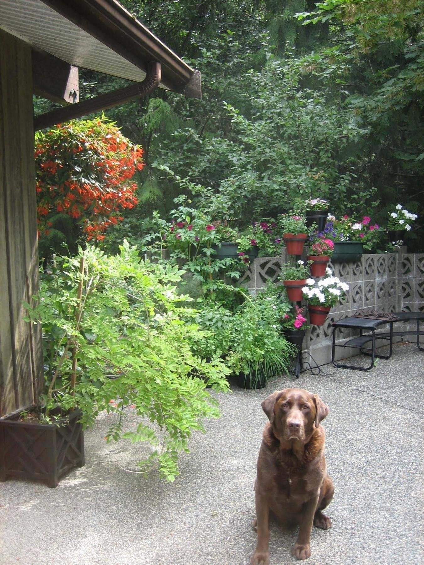 Misty Meadows B&B Langford Esterno foto
