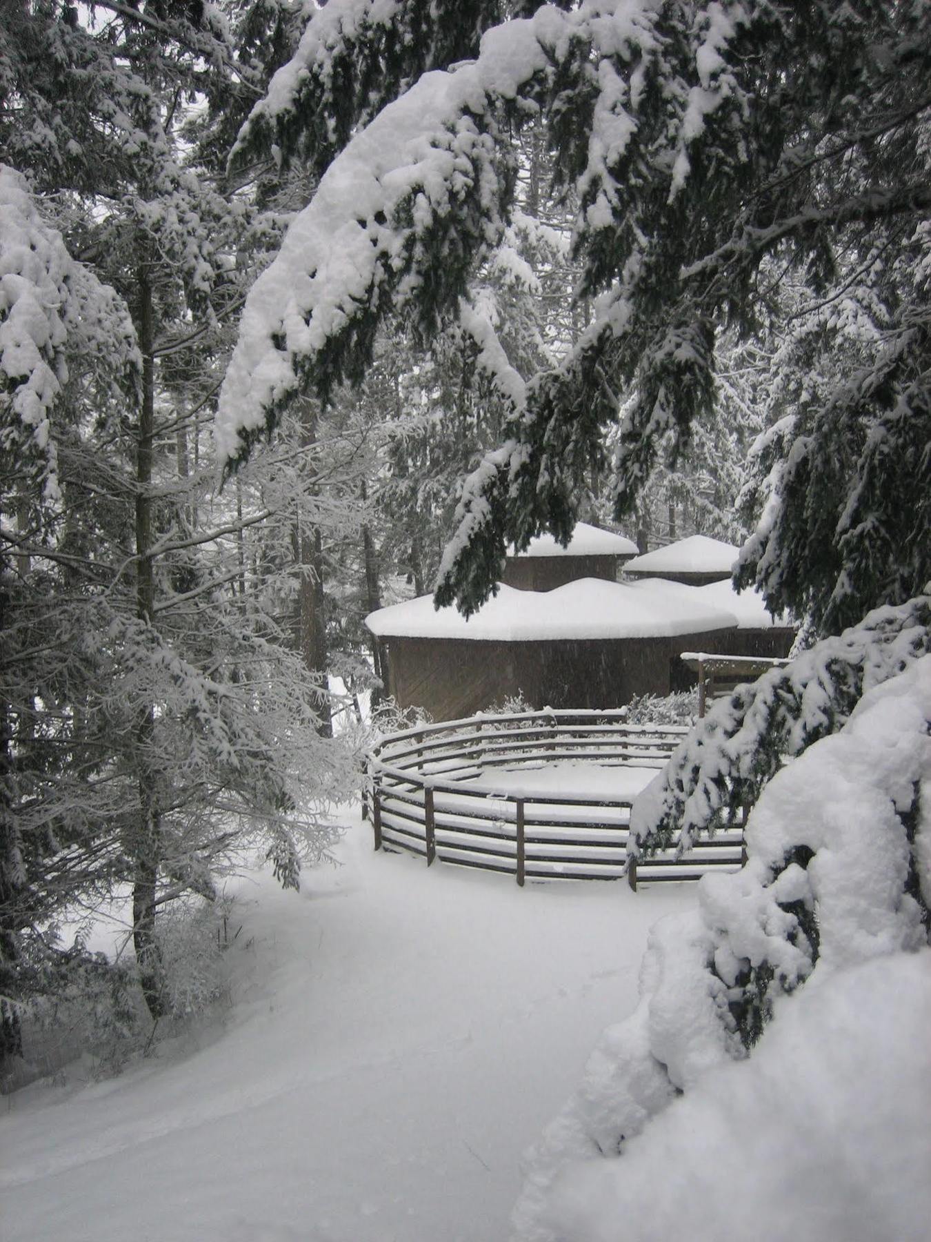 Misty Meadows B&B Langford Esterno foto