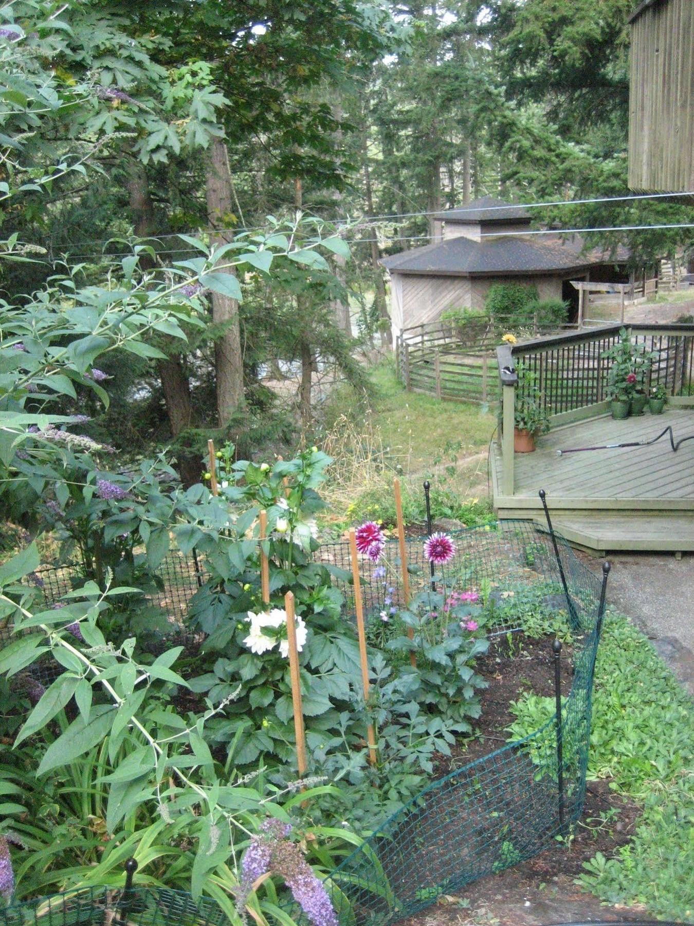 Misty Meadows B&B Langford Esterno foto