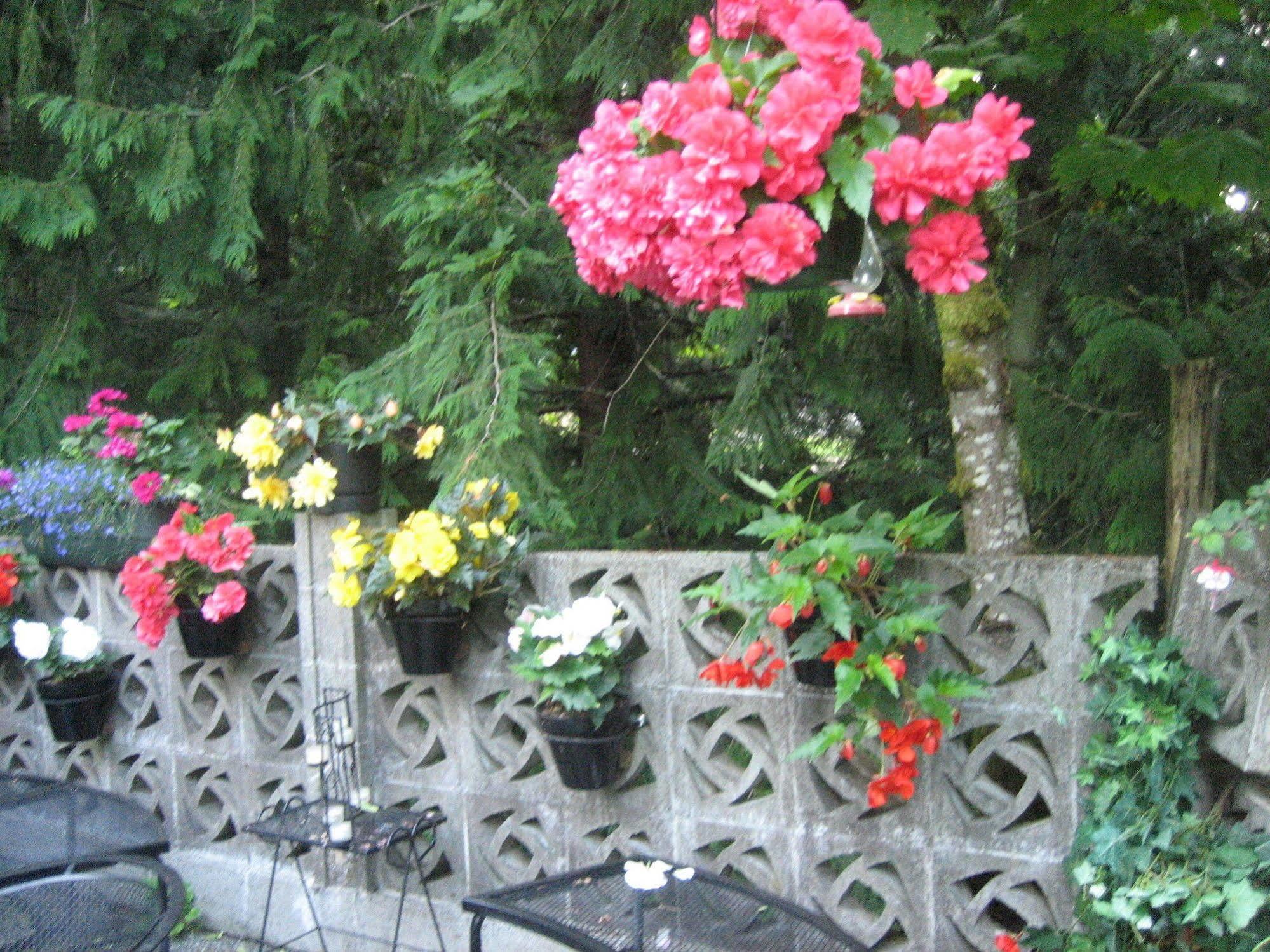 Misty Meadows B&B Langford Esterno foto